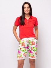 tropic