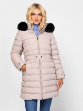 warmgray